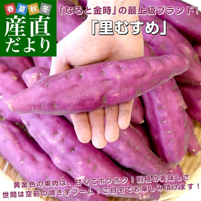 徳島県産 JA里浦 なると金時「里むすめ」 Lサイズ2.5キロ 10本前後