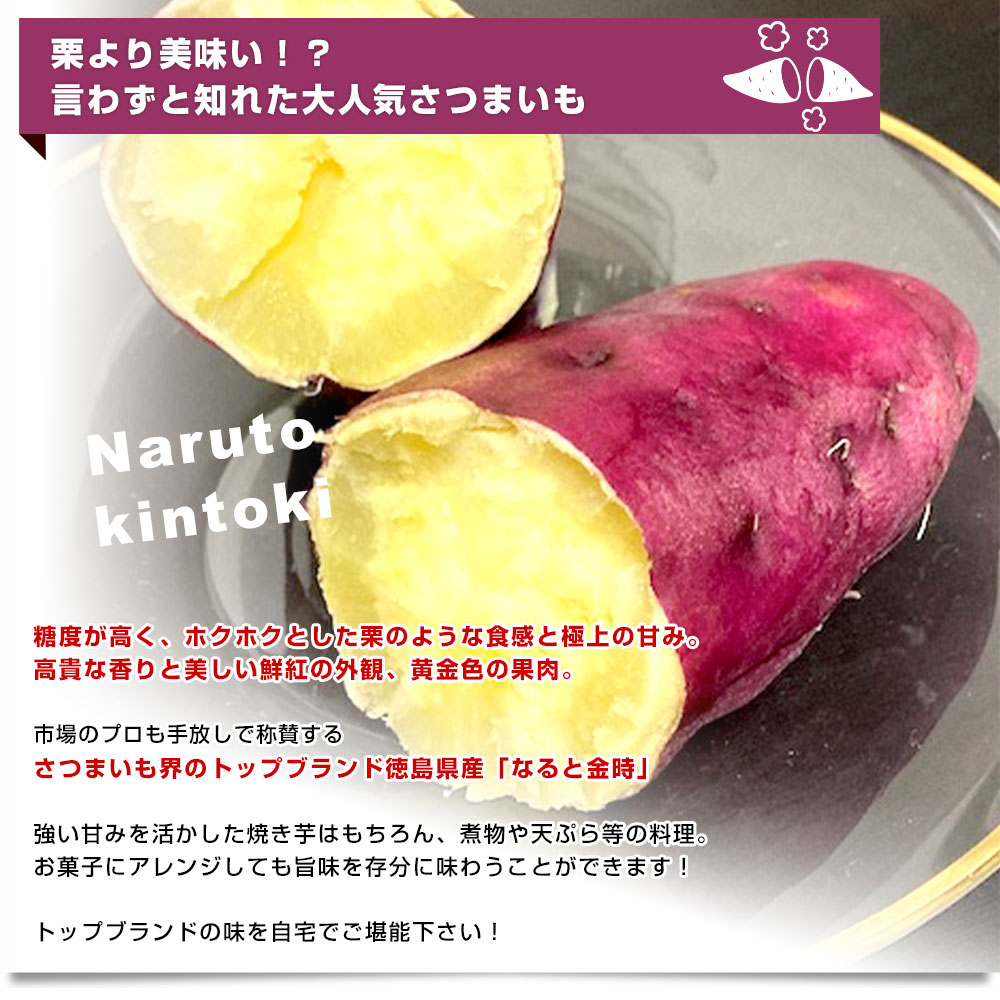 徳島県産 JA里浦 なると金時「里むすめ」 Lサイズ2.5キロ 10本前後
