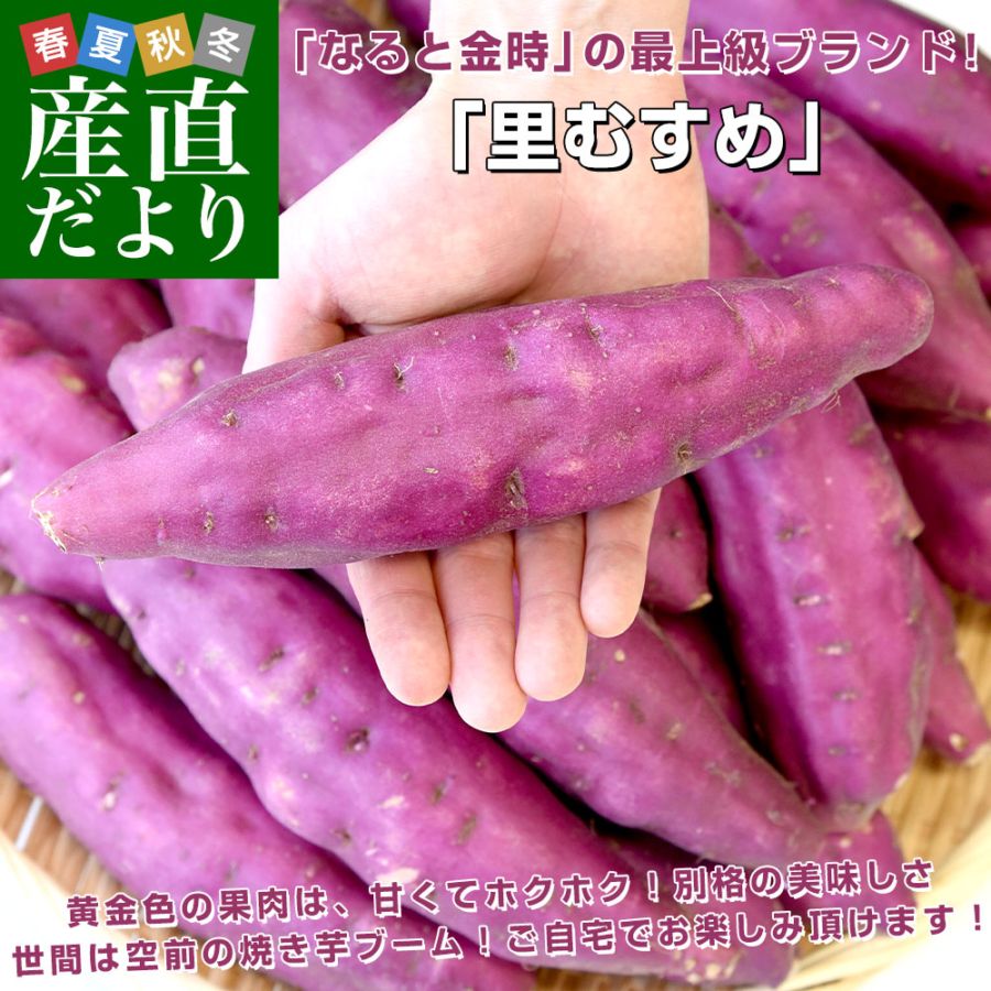 徳島県産 JA里浦 なると金時「里むすめ」 Lサイズ2.5キロ 10本前後