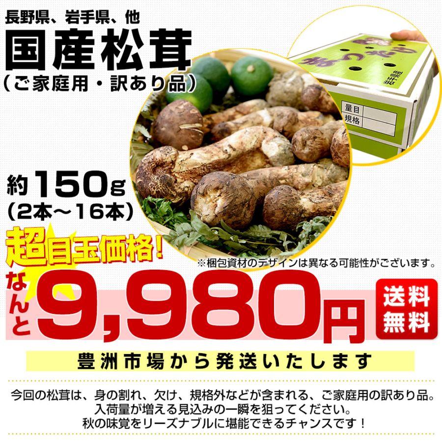 国産松茸（ご家庭用・訳あり品）身の割れ、欠け、規格外含む 約150g（2