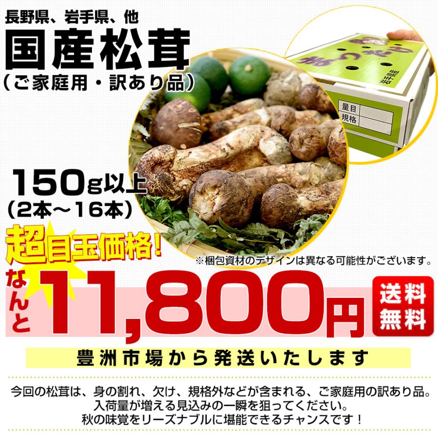松茸　北海道　550g 訳あり　送料込　国産　② matsutake_1.jpg