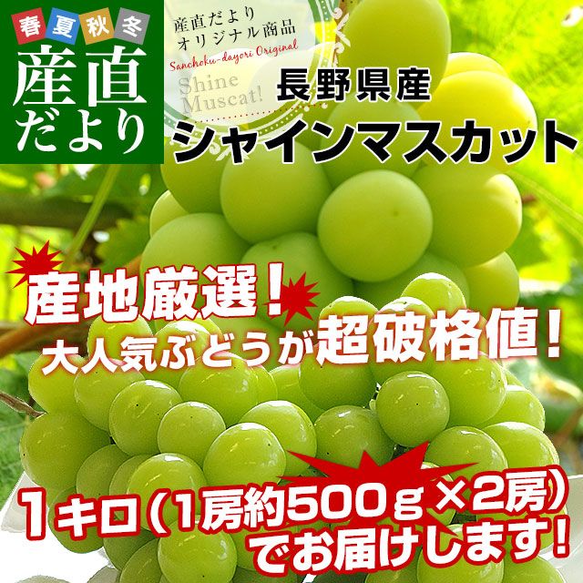 Ĺ 㥤ޥåȡ12˼̵ ֤ɤ ֥ɥ ʤ֤ɤ