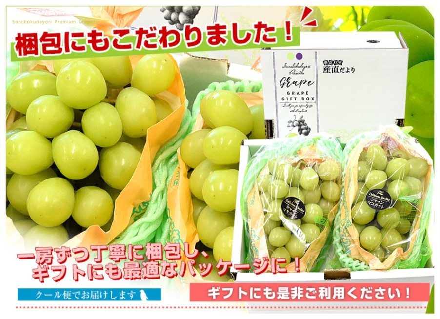 ぷら✨長野県産シャイン✨訳あり9キロ 長野県産 シャインマスカット 秀品 2房(約900g)