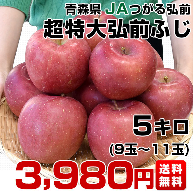 青森県産 ＂ 弘前ふじ ＂ りんご 加工用 20kg 産地直送 リンゴ 林檎 青森県より産地直送 JAつがる弘前 弘前ふじ 約3キロ (9玉から13玉