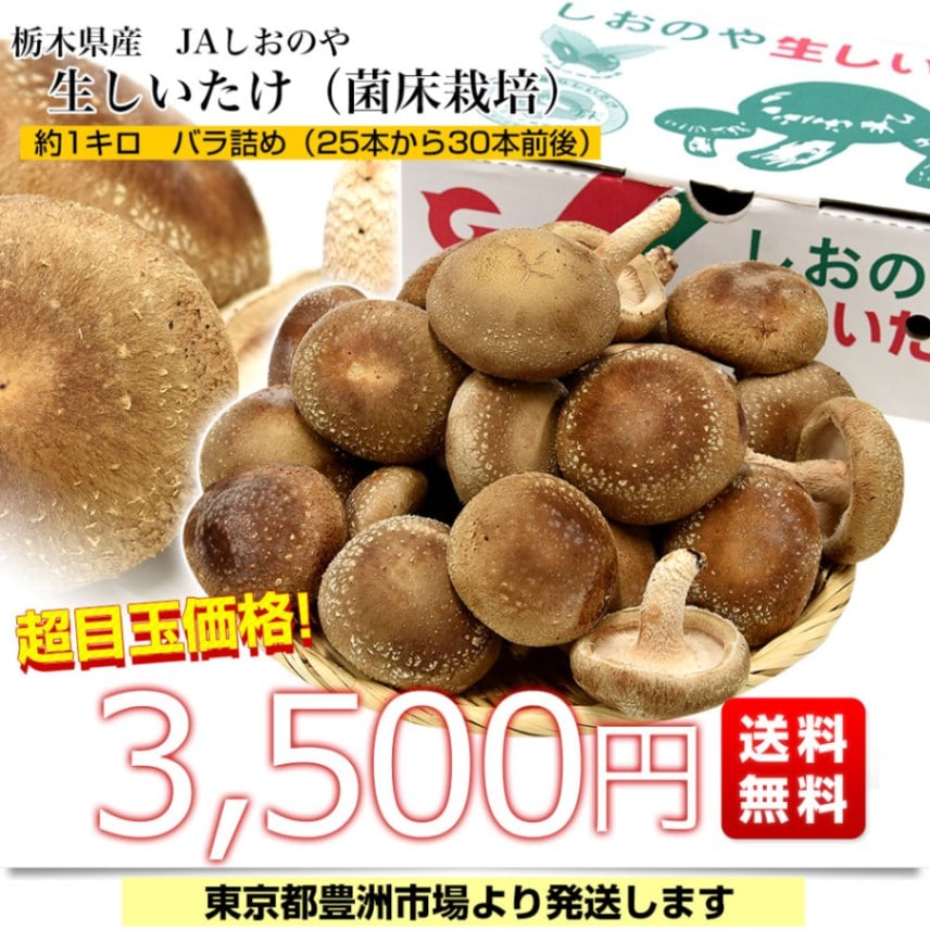 栃木県産 JAしおのや 生しいたけ 約1キロバラ詰め（25本から30本前後