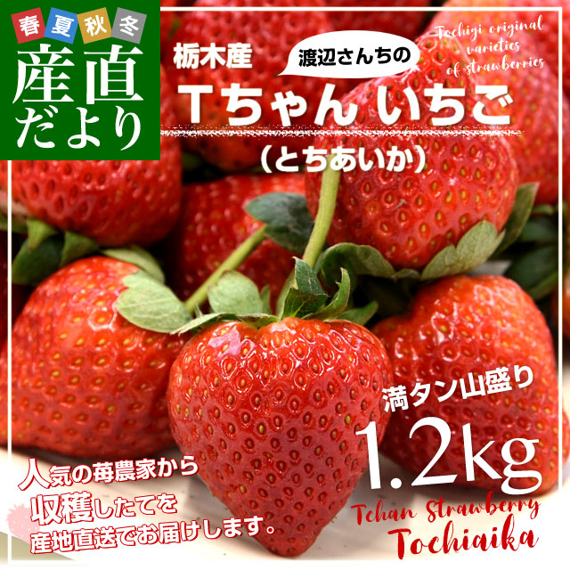 ڸ껺ľ դT󤤤(Ȥ)1.2(L:·)    ȥ٥꡼ ̵ ȯ