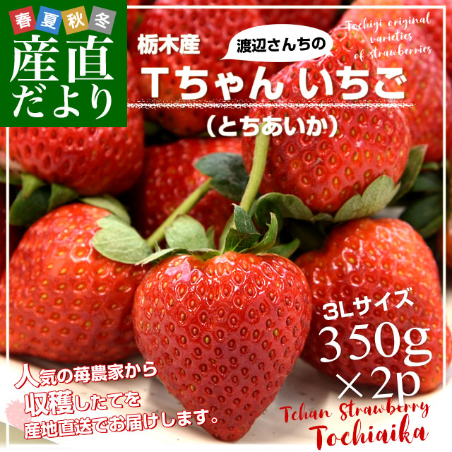 ڸ껺ľ դT󤤤(Ȥ)350gʾ2ѥå3L(9γ15γ2P)    ȥ٥꡼ ̵ ȯե