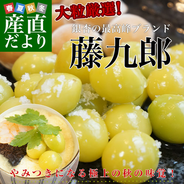 採りたて！3L5kg♡本場岐阜県産！新鮮♡本家やませき、藤