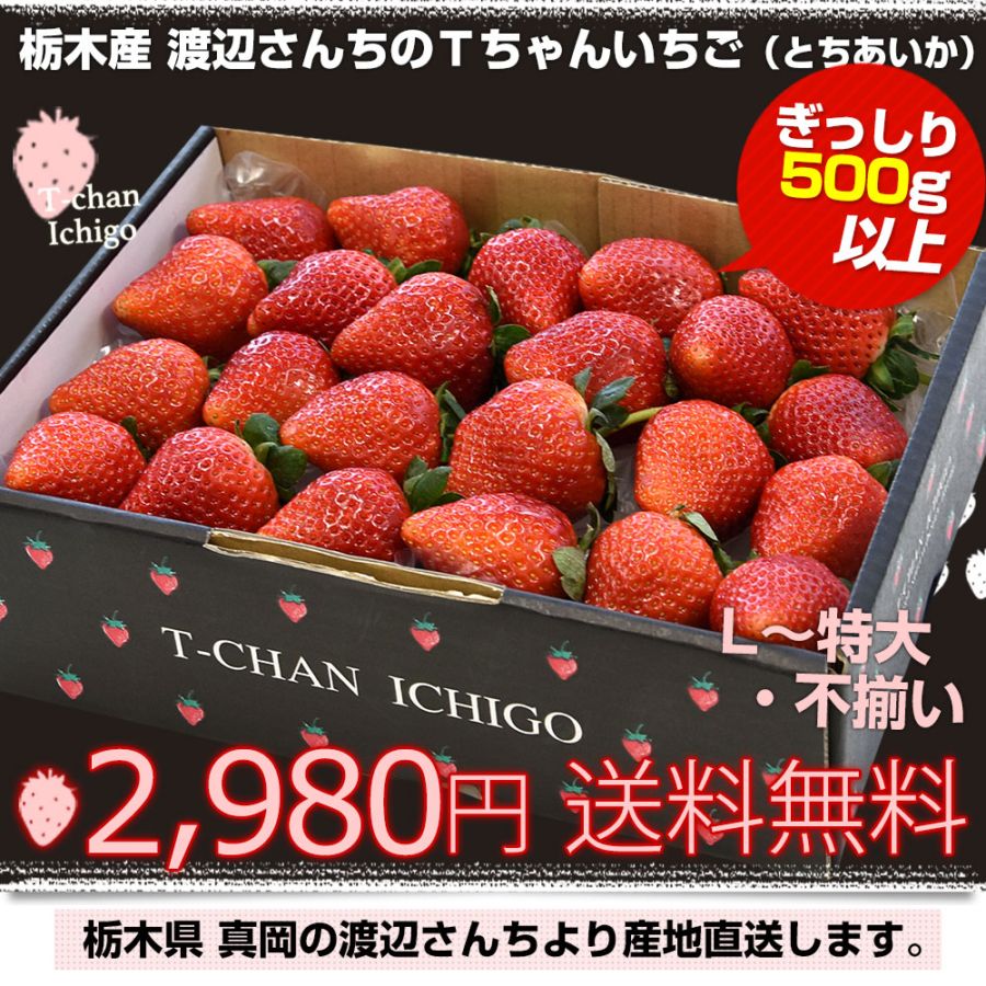 栃木県より産地直送 渡辺さんちのTちゃんいちご(とちあいか) 500g以上