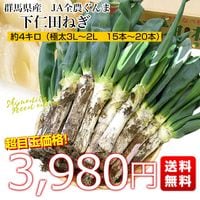 ネギのスキ(値下げしました) 群馬県産 JA全農ぐんま 下仁田ねぎ 約4キロ（3Lから2L 15本から20本