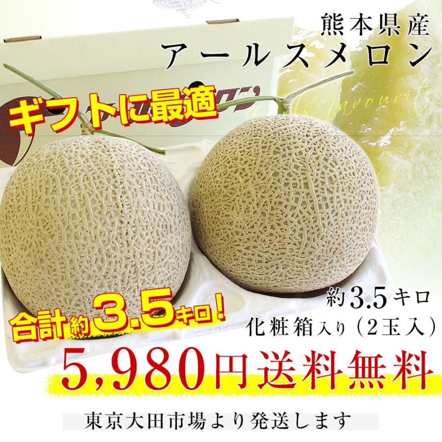 お歳暮 ギフト】熊本県産 アールスメロン 約3.5キロ 化粧箱(2玉入り