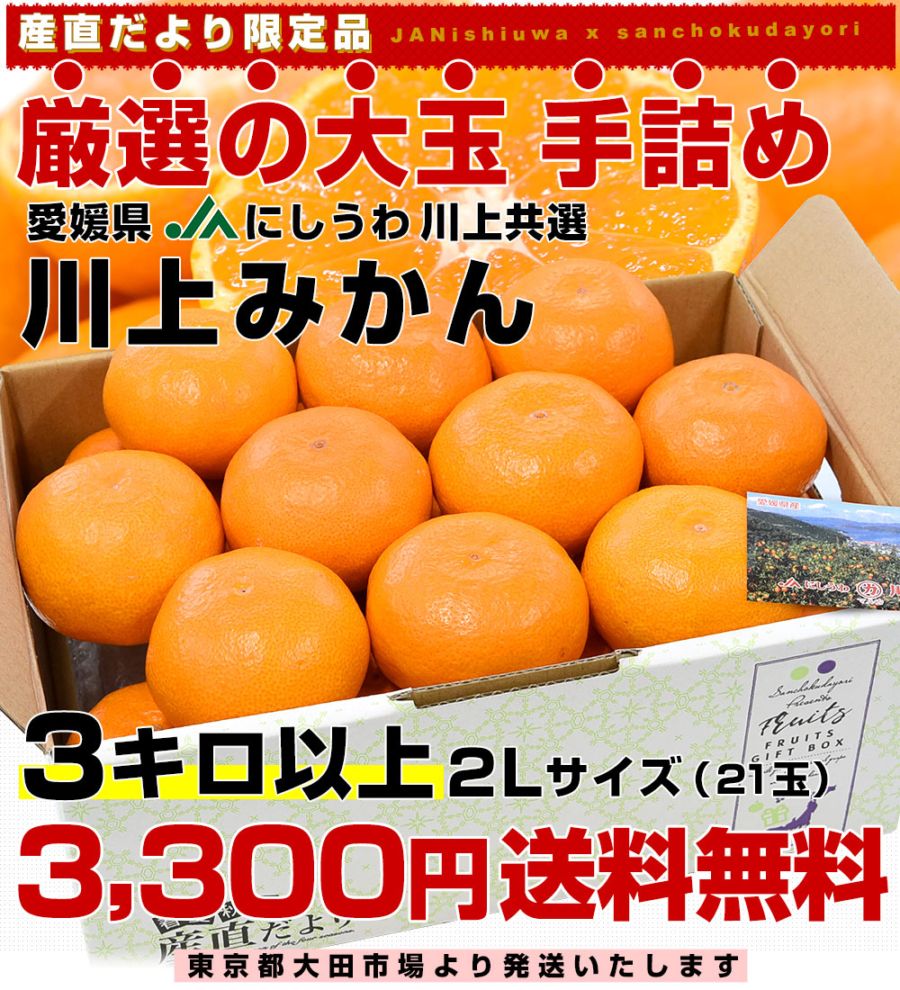 専用❤みかん❤超レア❤極上Wボアケット❤ダブルサイズお布団❤紺 専用❤みかん❤超レア❤極上Wボアケット❤ダブルサイズお布団❤