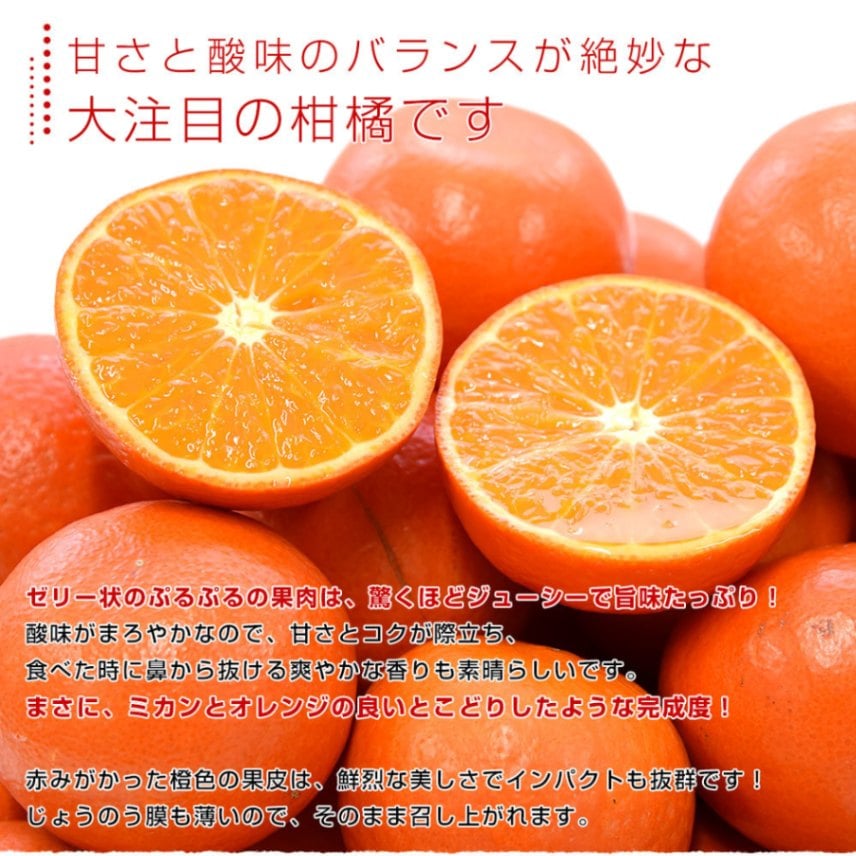 佐賀県産 JAからつ みはや 約5キロ 秀品2LからSサイズ（24玉から46玉