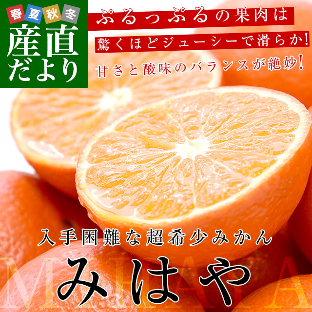 佐賀県産 JAからつ みはや 約5キロ 秀品2LからSサイズ（24玉から46玉 ...