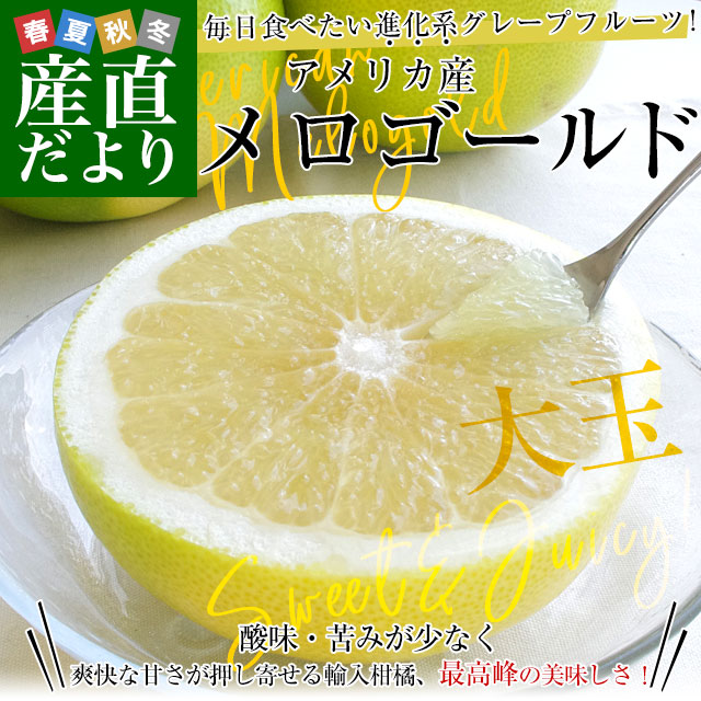 ����ꥫ�� ���������� ��̥����� ��3.5������6�̡� ����̵�� ���졼�ץե롼�� ���� �Ծ�ȯ��