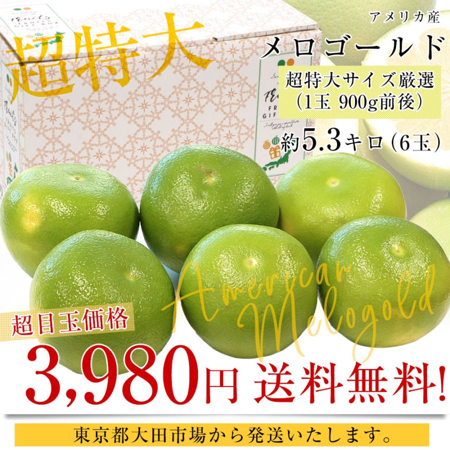 アメリカ産 メロゴールド 超特大サイズ 約5.3キロ（6玉）送料無料