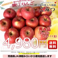 青森県から産地直送 JA津軽みらい 蜜入りりんご「こみつ」 秀A品 約2