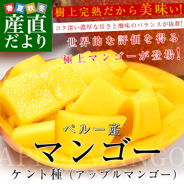 �ڥ롼�� ���åץ�ޥ󥴡� ����ȼ� ��1.3������3������ ����̵�� �ޥ󥴡� �ȥ��ԥ���ե롼��