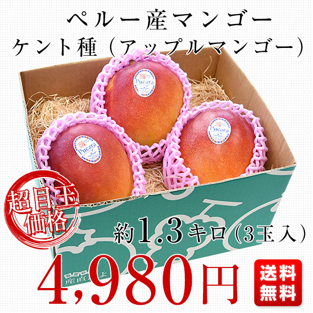 摘果マンゴー3/15③ 宮崎県産 完熟マンゴー3Lサイズ×2玉 | パティスリー・サダハル