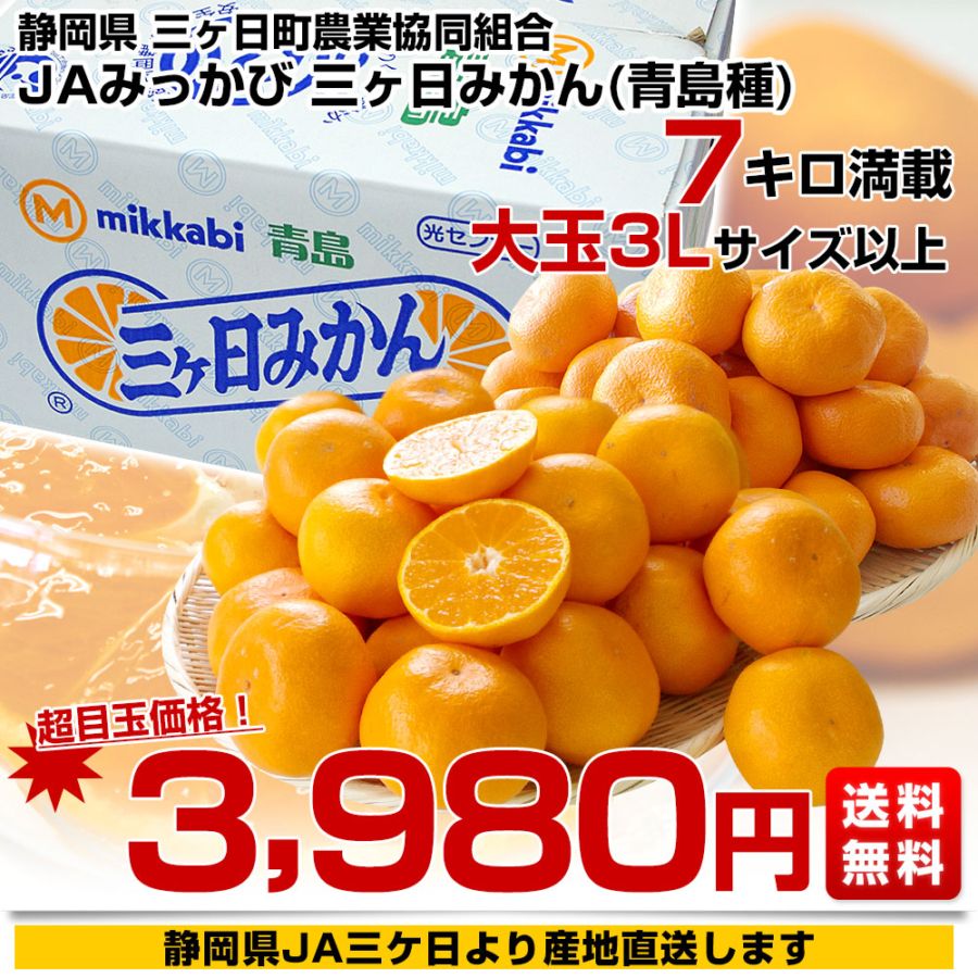 カーディナル3R みかん@ カーディナル3R みかん@ カーディナル3R みかん@ カーディナル3R