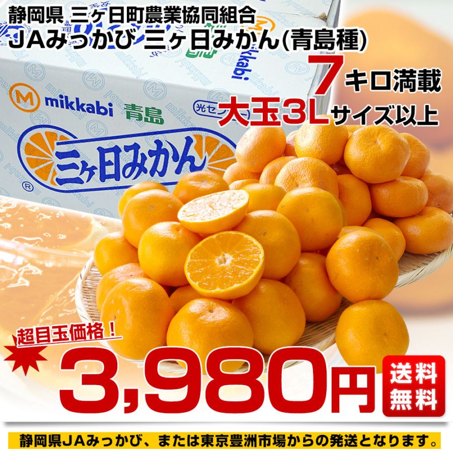 家計応援価格！】静岡県産 JAみっかび 三ケ日みかん (青島種) 3Lサイズ