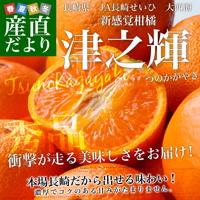 Ĺ�긩��껺��ľ�� JAĹ�ꤻ���� ��Ƿ��(�ĤΤ����䤭) 3L����L������ ���� 2.5���� (10�̤���25��) ����̵�� ���� ����� �Ťε� ���� ������ ������