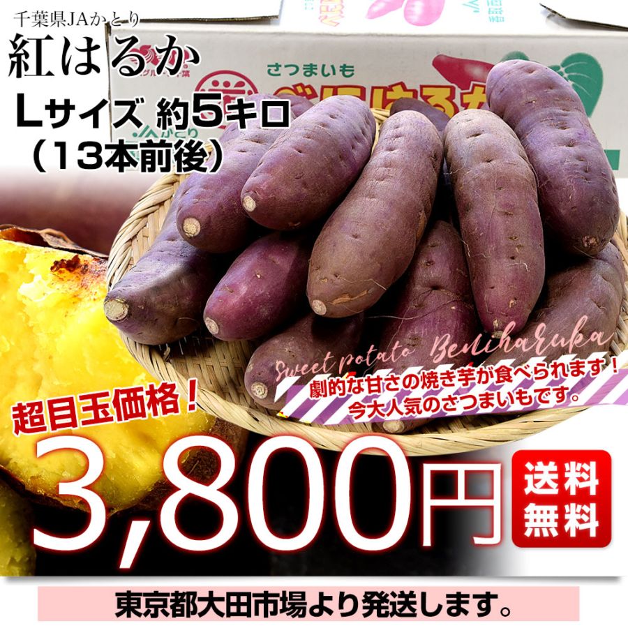 千葉県産 JAかとり 紅はるか Lサイズ 約5キロ 13本前後 送料無料