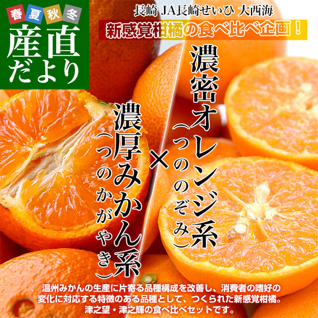 365愛果 まどんな 訳あり 10kg (紅まどんな) 366愛果 まどんな 訳あり
