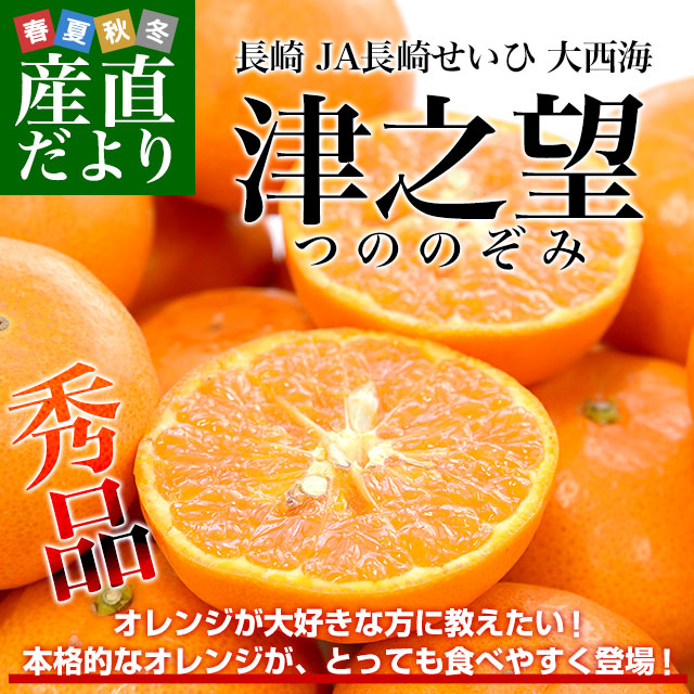 【種芋】デジマ 長崎県産 17〜18キロ（20kg袋です）翌日までに発送　その3 種芋】デジマ 長崎県産 17〜18キロ（20kg袋です）翌日までに発送 その3