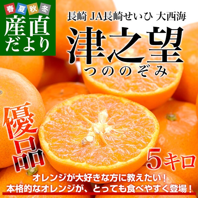 Ĺ�긩��껺��ľ�� JAĹ�ꤻ���� ��Ƿ˾(�ĤΤΤ���) 2L����S������ ͥ�� 5���� (40�̤���60��) ���� ����� �Ť�˾ ���� ������ ������