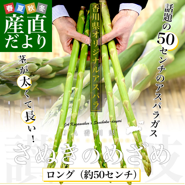 �����껺��ľ�� JA��������ѥ� ���̤��Τᤶ����󥰡���50�������5�������80g/�ܡ�5�ܡ� �ղ� ����̵�� �ݵ���¾ �����ѥ饬�� 50����������ѥ饬��