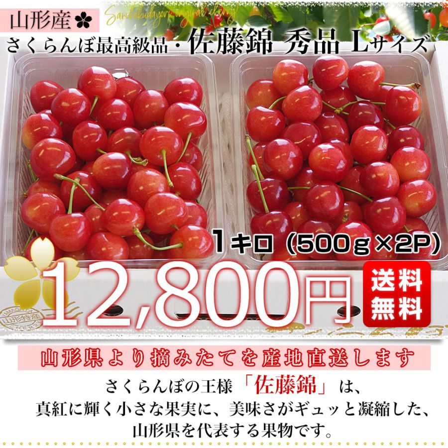 山形県より産地直送 さくらんぼ佐藤錦 大粒Lサイズ 秀品1キロ (500g×2P