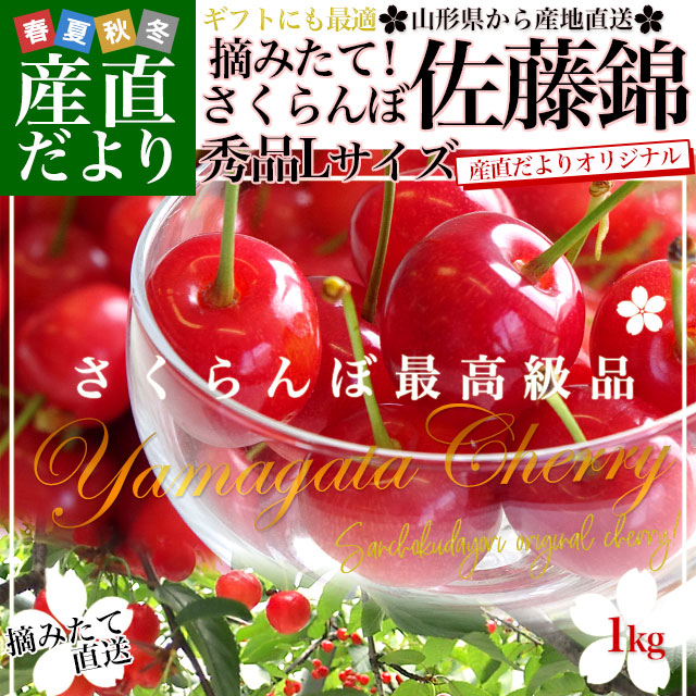 大粒Lサイズ　産直だより　山形　クール便　桜桃　(500g×2P入)　秀品1キロ　サクランボ　送料無料　県から産地直送,厳選農家から直送⇒山形こだわりさくらんぼグループ　山形県より産地直送　さくらんぼ佐藤錦