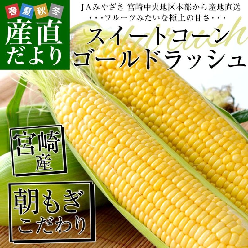 �ܺ긩��껺��ľ�� JA�ߤ䤶���ܺ�����϶����� �Ȥ�������� (������ɥ�å���) 2L����̥����� 4.5���� (13�ܤ���15��) ����̵�� �Ȥ����� �ܺ�Ȥ�������� from�彣  �������ȥ����� ����������