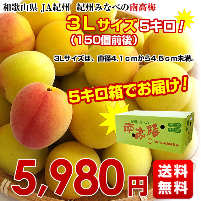 jimmy　梅干し　５キロ 6農家が贈る「うめくらべ」