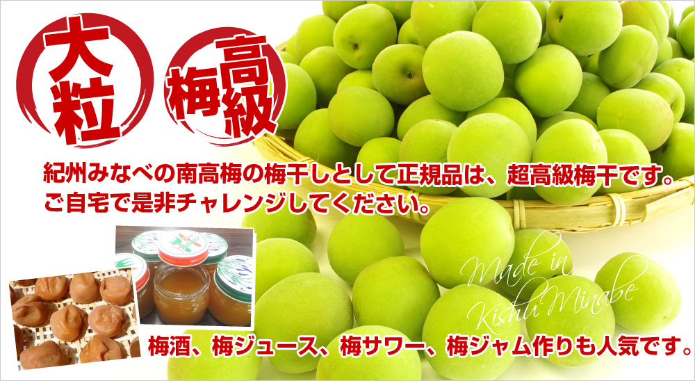 和歌山県産 JA紀州 みなべの南高梅 3Lサイズ5キロ 梅 梅干 梅干し 梅酒