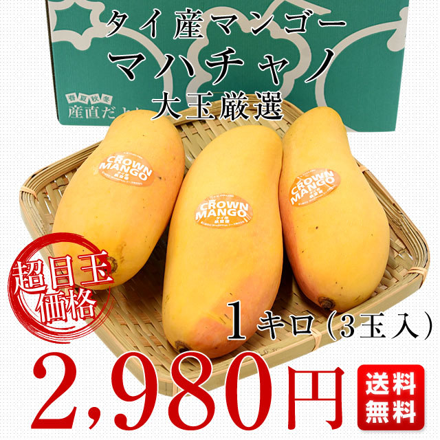 タイ産マンゴー マハチャノ 大玉厳選 1キロ（3玉入）送料無料 マンゴー