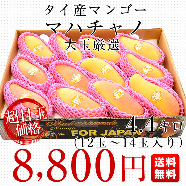 タイ産マンゴー マハチャノ 大玉厳選 4.4キロ（12玉から14玉入）送料