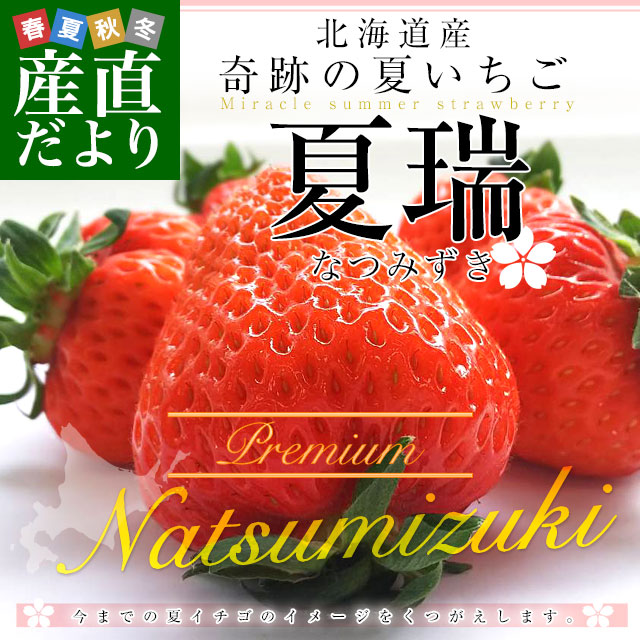 北海道より産地直送 高級いちご 夏瑞（なつみずき）プレミアム 約200g