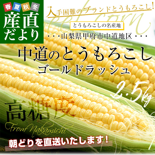山梨県より産地直送 JAふえふき中道北支所 とうもろこし(ゴールド