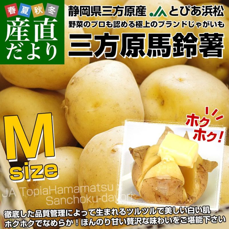 静岡県産 JAとぴあ浜松 三方原馬鈴薯（男爵） Mサイズ 5キロ