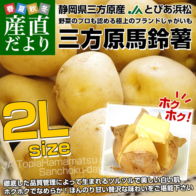 Ų JAȤԤ;  2L 525 ̵ 㤬 㥬