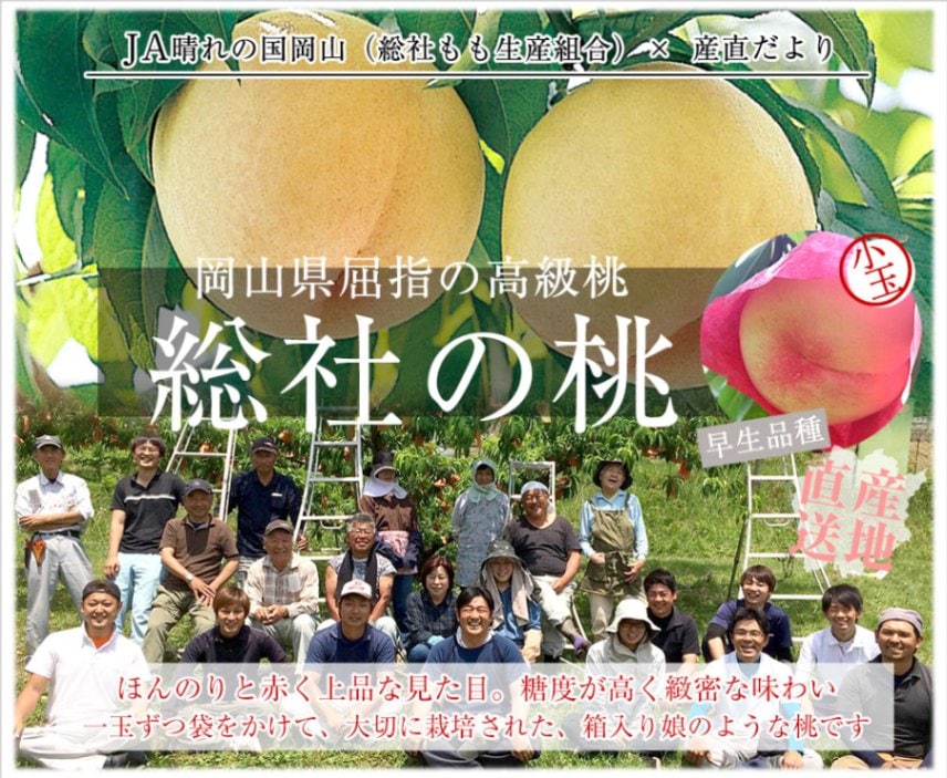 岡モータースさん　青桃製作所　作品セット 000000002007_2_lesNs19.jpg