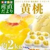 ʡ�縩��껺��ľ�� JA�դ�����̤�� �ߥ��ԡ����ֲ����� ��2������5�̤���8�̡��� ��� �ԡ��� ����̵��