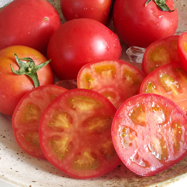 北海道より産地直送 下川町のスーパーフルーツトマト ＜北の極
