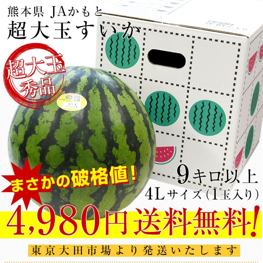 熊本県産 JAかもと 超大玉すいか 9キロ以上（1玉）4Lサイズ 秀品 送料