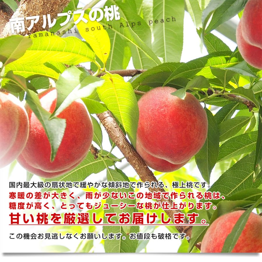 山梨県JA南アルプス市 南アルプスの桃 光甘度(こうかんど) 特赤秀品