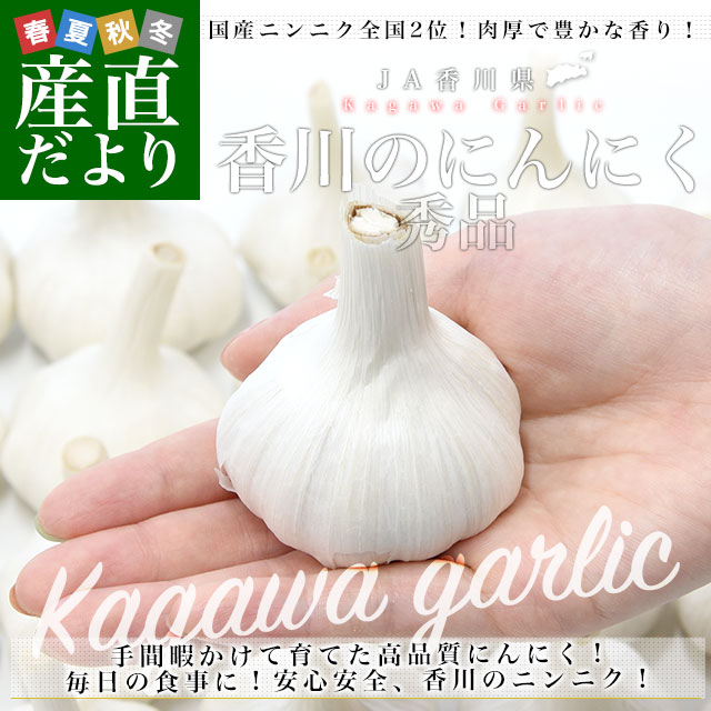 ������黺��ľ�� JA��� �˥�˥� ���� ��1.5���� (�ܰ¤Ȥ���38������) ����̵�� ����ˤ�ˤ� ���� �� ���� ���̤�