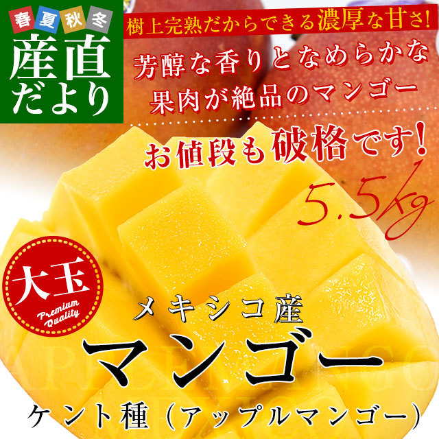 メキシコ産 アップルマンゴー (ケント種) 約5.5キロ原体箱 (12玉から14