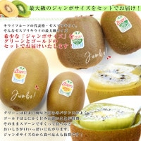 ② らんちゅう　サボイア　ジブリ　完成品 楽天市場】ニュージーランド産 ゼスプリ・グリーンキウイ